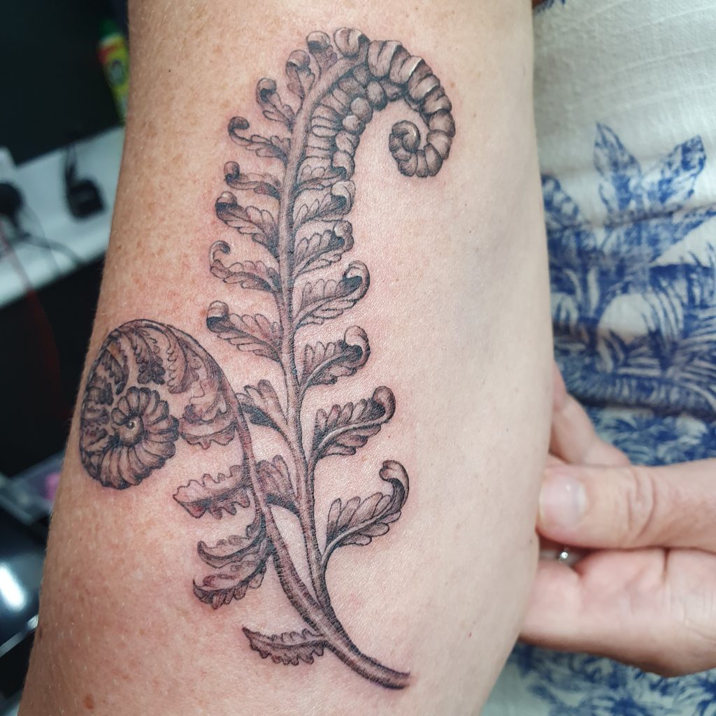 Discover more than 63 fiddlehead fern tattoo  incdgdbentre